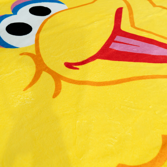 Fundas de Cojín 47 x 47cm - Big Bird 05