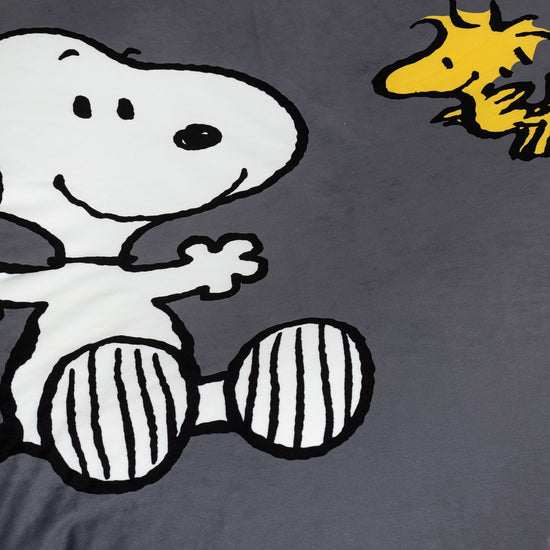 Charlie Brown y Snoopy Puf Flexiforma Juniors 2-14 años - Emilio 06