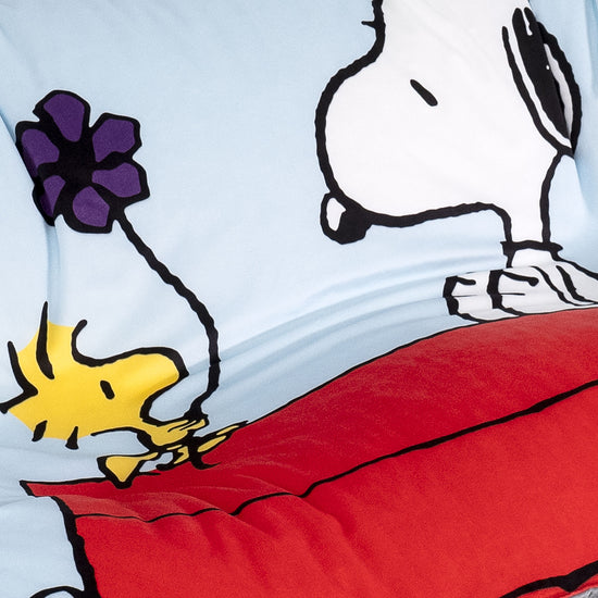 Charlie Brown y Snoopy Puf Sillón Encorvado - Nube 03